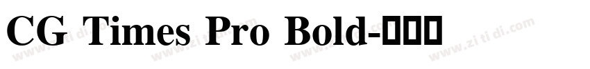 CG Times Pro Bold字体转换